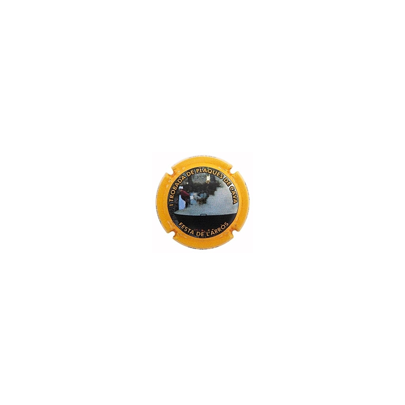 Trobades 2015 X-15125076--8-2-15-ACP BAGA
