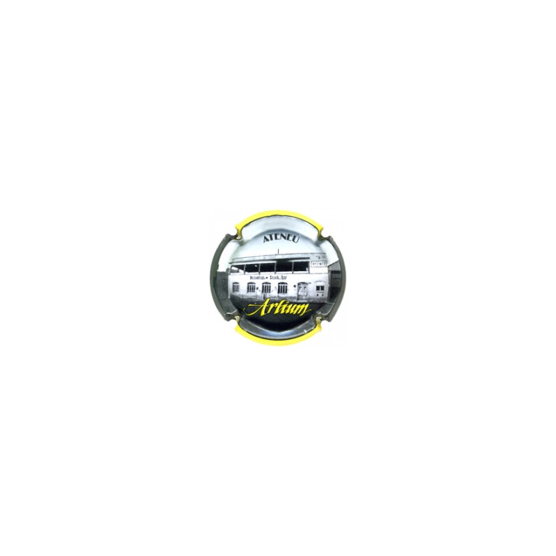 Artium X-101403