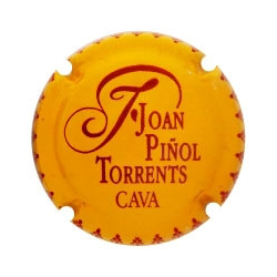 Joan Piñol Torrents X-190356