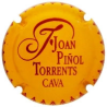 Joan Piñol Torrents X-190356