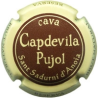 Capdevila Pujol X-206431