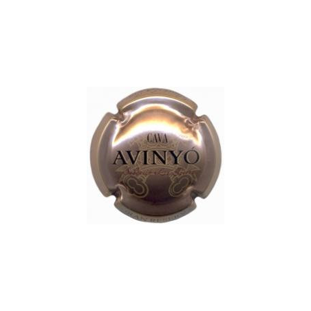 Avinyó X-12743 V-6075
