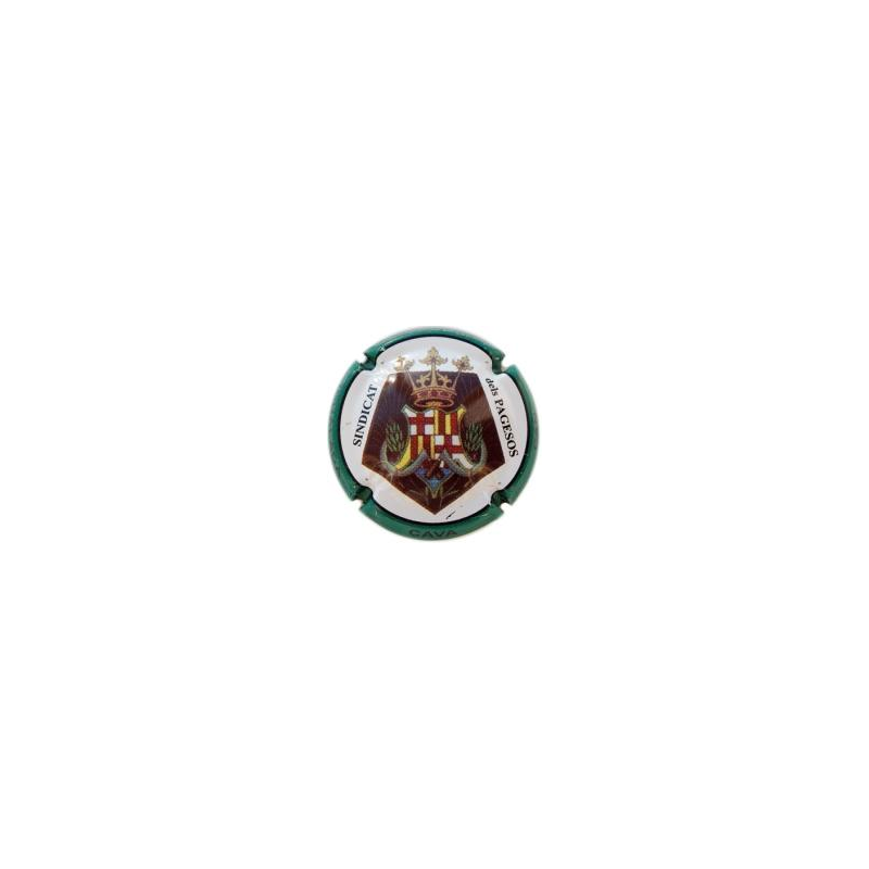 Can Paixano X-20464 V-11694