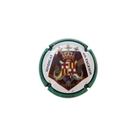 Can Paixano X-20464 V-11694