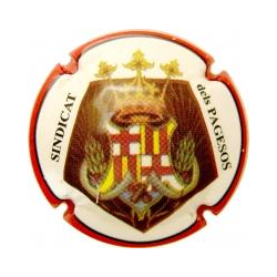 Can Paixano X-4245 V-4796