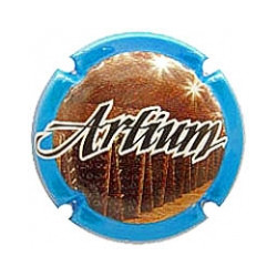 Artium X-205401