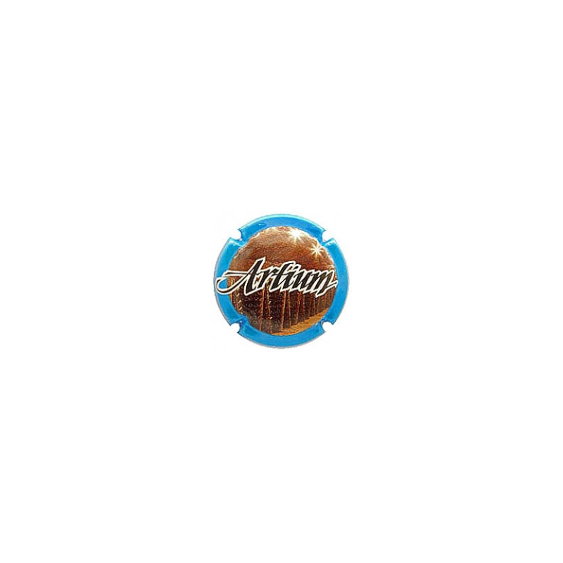 Artium X-205401