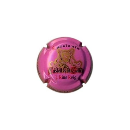 Can Ramon Viticultors de Montgros X-57333 V-17889