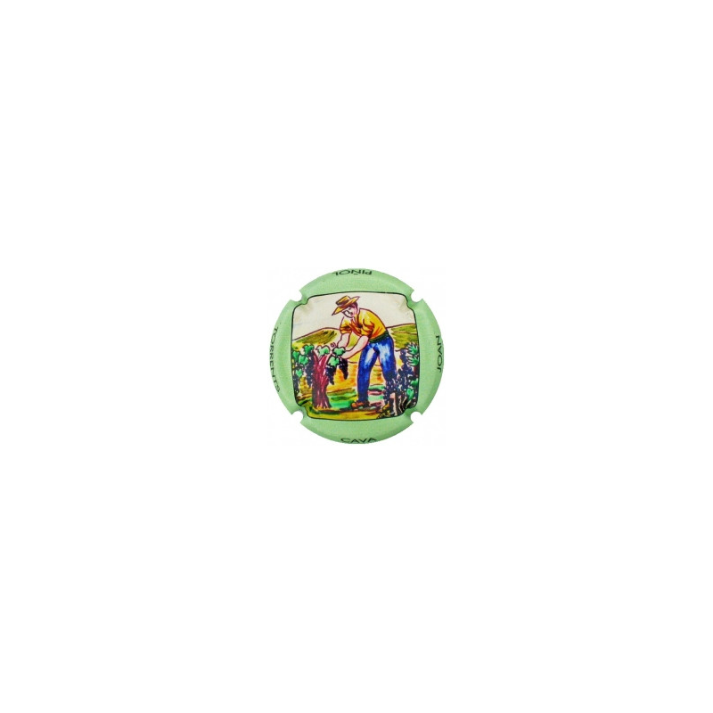 Joan Piñol Torrents X-216943