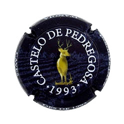 Castelo de Pedregosa...