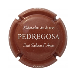 Castelo de Pedregosa X-130348