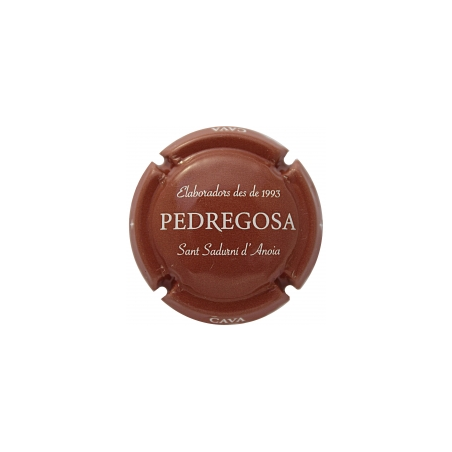 Castelo de Pedregosa X-130348