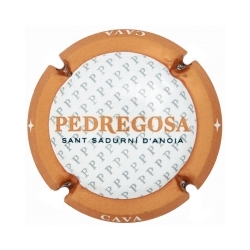 Castelo de Pedregosa X-133620