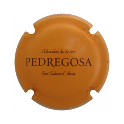 Castelo de Pedregosa X-137840