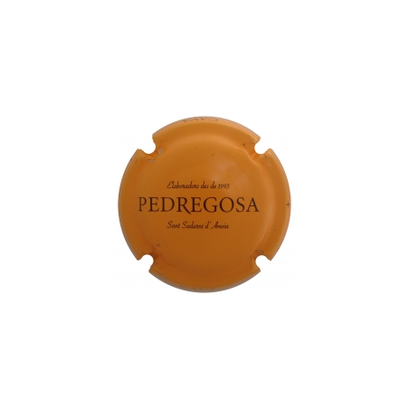 Castelo de Pedregosa X-137840
