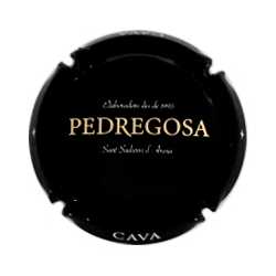 Castelo de Pedregosa X-137862