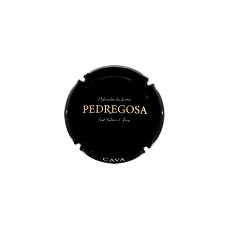 Castelo de Pedregosa X-137862
