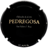 Castelo de Pedregosa X-137862