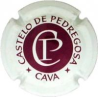 Castelo de Pedregosa X-1469 V-1307