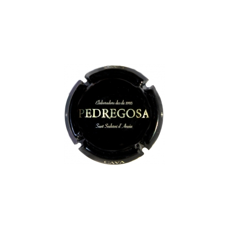 Castelo de Pedregosa X-149840