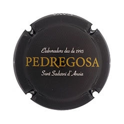 Castelo de Pedregosa X-153733