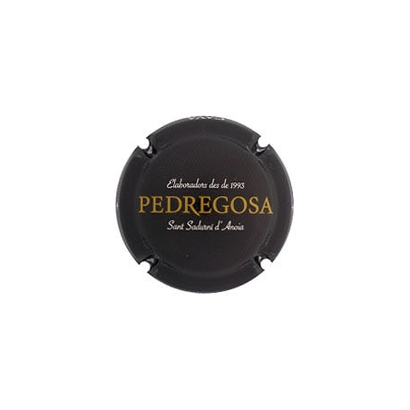 Castelo de Pedregosa X-153733