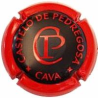 Castelo de Pedregosa X-4068 V-4814