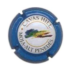 Cavas Hill X-19462 V-6793