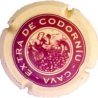 Codorniu X-787 V-3623