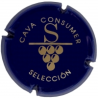 Consumer X-1951 V-1522