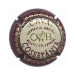 Cossetània X-1395 V-2941