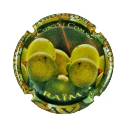 Cuscó i Comas X-129959