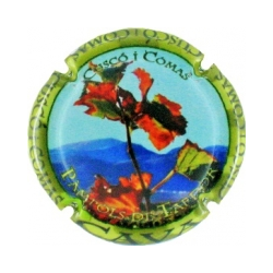 Cuscó i Comas X-129963