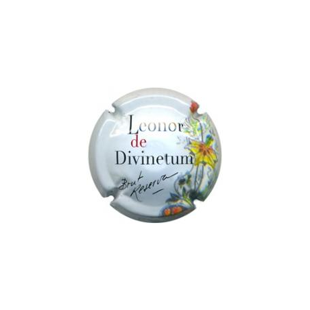 Divinetum X-74671 V-21399