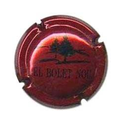 El Bolet Nou X-1780 V-434