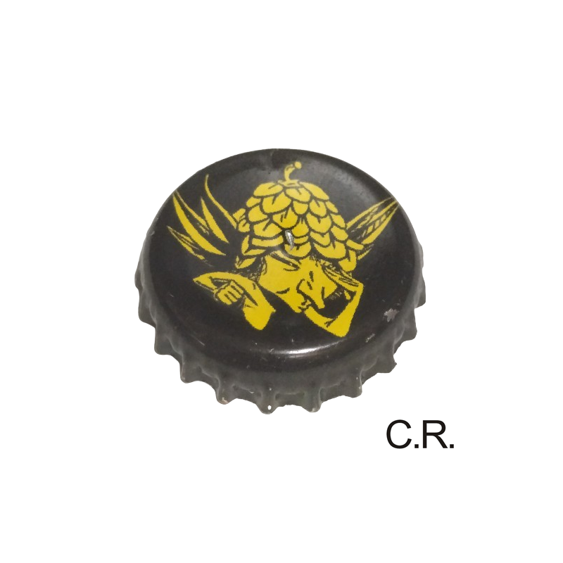 BÉLGICA (BE)  Cerveza Brasserie Dubuisson