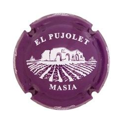 Masia el Pujolet X-46373...