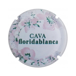 Floridablanca X-139484