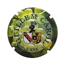 Guillem Carol X-132910 V-28884