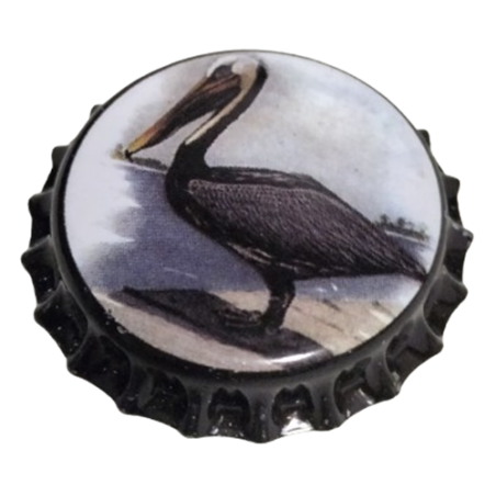 ESTADOS UNIDOS (US)  Pelliconi Florida LLC Sin usar