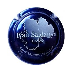 Ivan Saldanya X-1863 V-3133