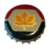 CANADÁ (CA) Cerveza Molson Brew
