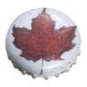 CANADÁ (CA) Cerveza Molson Breweries