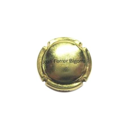 Joan Ferrer Bigorra X-46358 V-15153