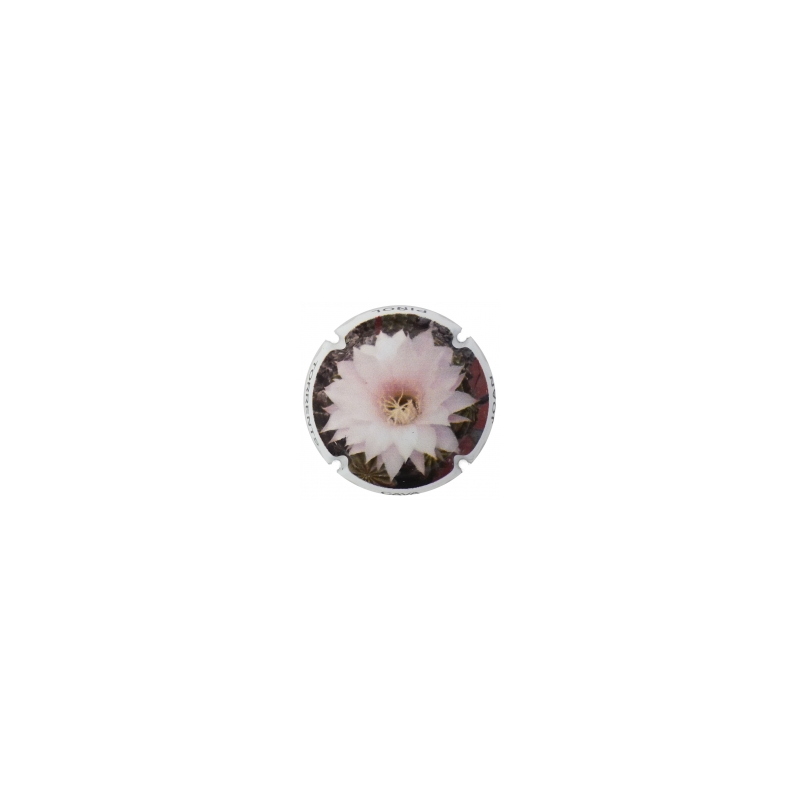 Joan Piñol Torrents X-137045
