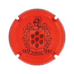 Joan Piñol Torrents X-155182