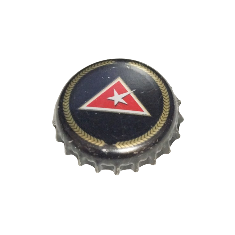 LITUÀNIA (LT)  Cerveza Kalnapilis