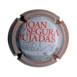 Joan Segura Pujadas X-62493...