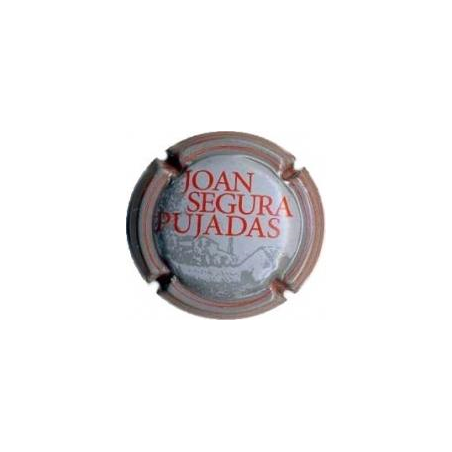 Joan Segura Pujadas X-62493 V-17988