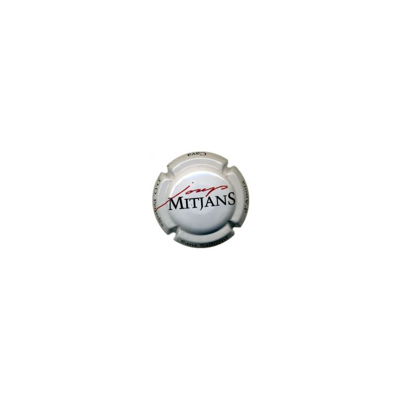 Josep Mitjans X-13101 V-1819